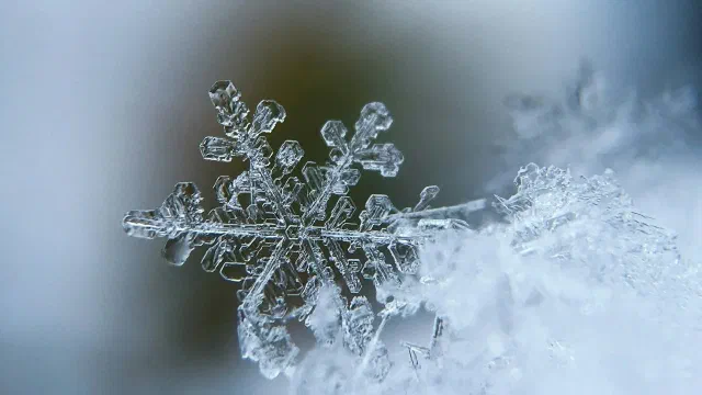 Weather Cancellations for 1/21