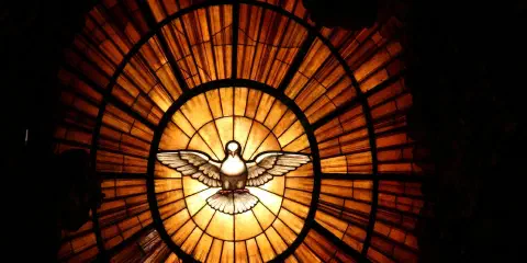 Cover art — Sermons